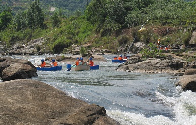 Du khách tham gia giải đua 