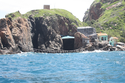 Phát triển bền vững quần thể chim yến đảo