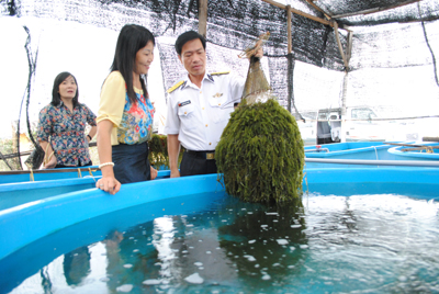 Hoạt động khoa học và công nghệ cơ sở đã bắt đầu khởi sắc