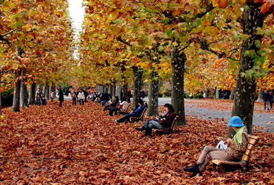 Thưởng ngoạn “Mùa thu lá đỏ Nhật Bản” cùng Vietravel Nha Trang