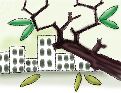 Lá rụng buổi giao mùa