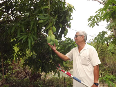 Ông Phạm Trự, tuổi cao nhưng vẫn tham gia lao động sản xuất.