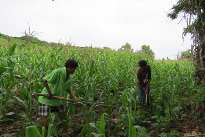 Dù bị cụt ngón tay do di chứng của bệnh phong, ông Cao Văn Điêu vẫn nỗ lực lao động.