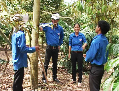 Hỗ trợ thanh niên phát triển kinh tế