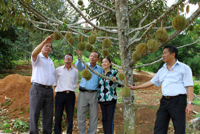 Tích cực tham gia các công việc ở địa phương