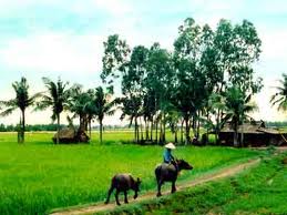 Cơn mưa đầu mùa