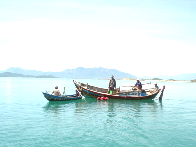 Thả bù xác định ranh giới vùng bảo vệ.