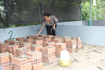 Hiệu quả từ mô hình nuôi rắn mối và thỏ