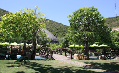 Diễn ra Cuộc thi tìm kiếm người mẫu tài năng quốc tế