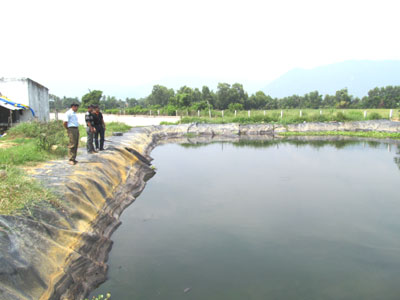 Cần xử lý dứt điểm