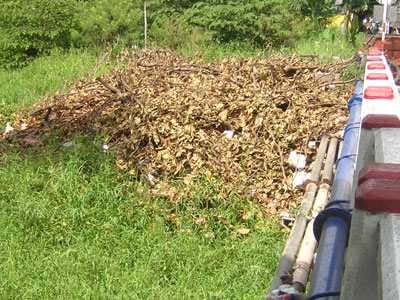 Chân cầu thành điểm đổ rác