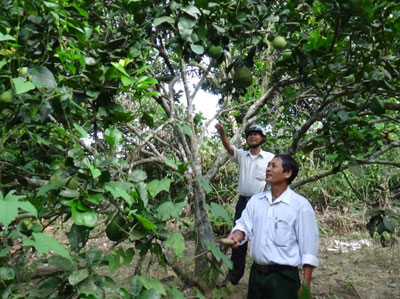 Cùng nhau phát triển kinh tế, giảm nghèo bền vững