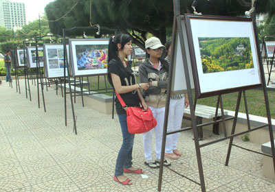 Công chúng xem triển lãm.