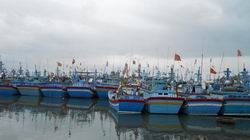 Cấm biển, cấm tàu thuyền hoạt động trên sông trong ngày 10-11