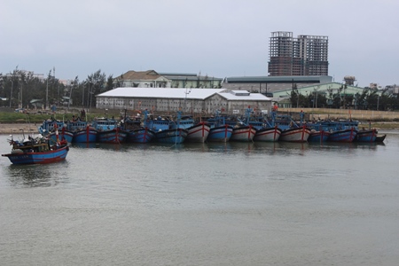 Quy hoạch hệ thống cảng cá, khu neo đậu tránh trú bão