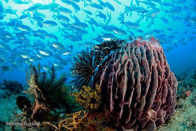 Kinh nghiệm quản lý tổng hợp