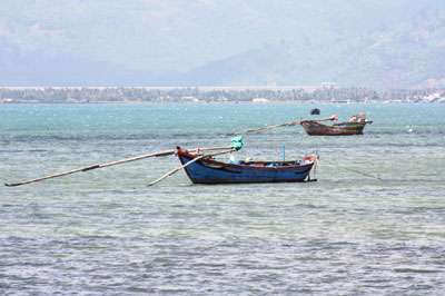 Giã cào nhũi đang đậu ngang nhiên ở thôn Tuần Lễ, xã Vạn Thọ, huyện Vạn Ninh chờ đến đêm hoạt động.