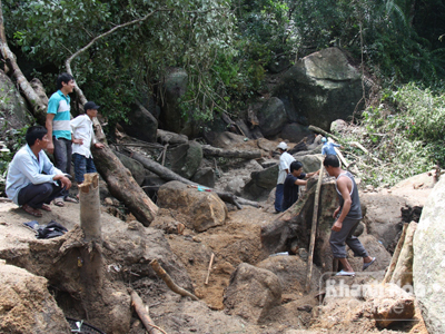 Vụ ăn chặn trầm kỳ ở Khánh Sơn: Đề nghị truy tố 5 bị can