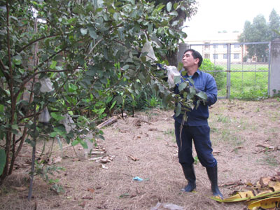 Luôn tâm niệm là bộ đội Cụ Hồ