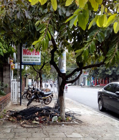 Sớm xử lý dây viễn thông dư thừa