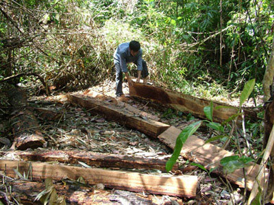 Hành trình sa ngã của một sĩ quan
