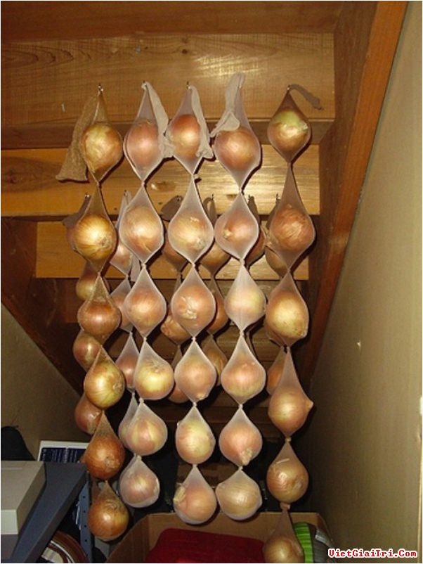 12 mẹo bảo quản rau quả đơn giản mà hữu ích