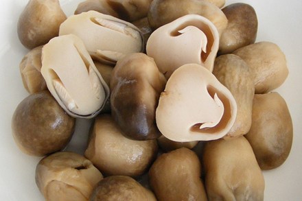 Món ăn tăng khả năng sinh sản ở nữ giới