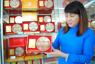 Chuyển giao công nghệ nuôi chim yến cho các tỉnh, thành phố với trên 300 nhà yến