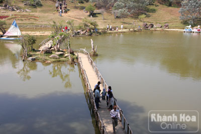 Du khách ngắm hoa ở Thung lũng vàng.