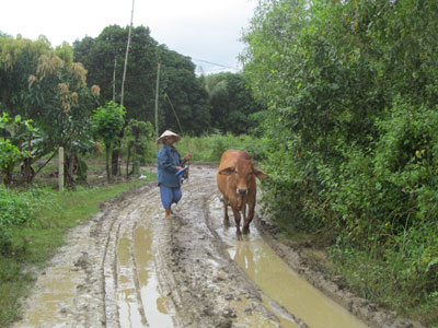Xe tải được cho là nguyên nhân khiến con đường xuống cấp.