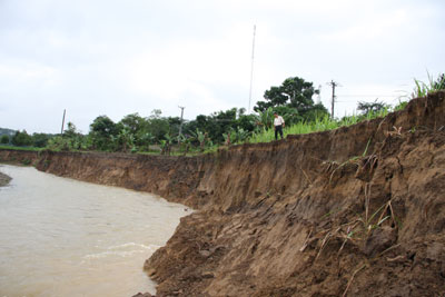 Xã Sơn Hiệp: Sạt lở 1,5ha đất nông nghiệp