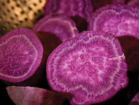 Khoai lang tím và cuộc chiến chống gốc tự do