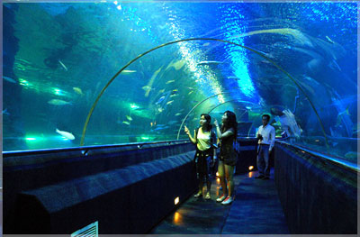 Khánh Hòa có 3 khách sạn 5 sao hàng đầu Việt Nam