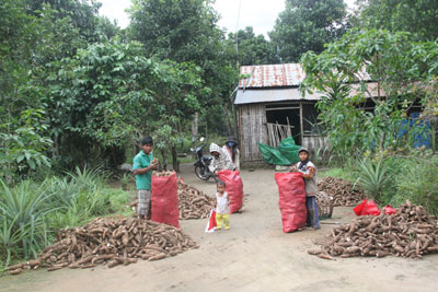 Khánh Vĩnh: Nông sản rớt giá