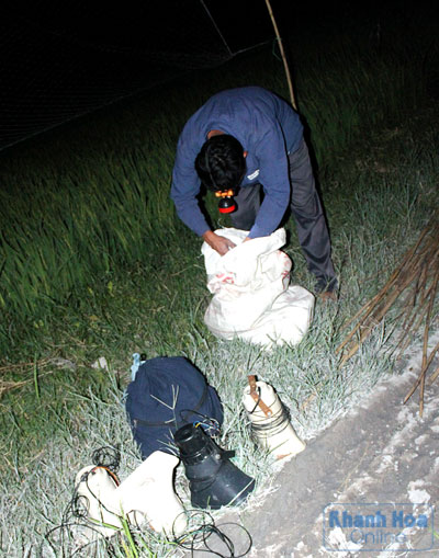 Tận diệt chim trời