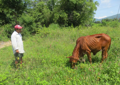 Chăm lo tốt đời sống hội viên