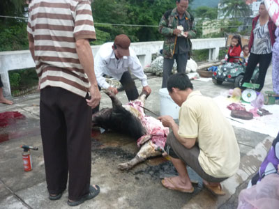 Công khai bày bán thịt thú rừng