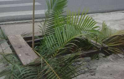 Cần khắc phục hố ga bể nắp