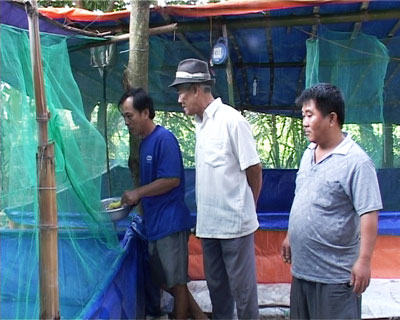 Một mô hình nuôi mới, hiệu quả cao