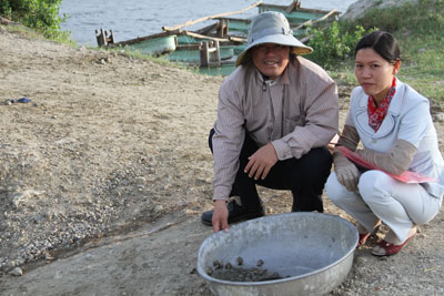 Kỹ sư Nguyễn Thị Hương và ông Nguyễn Thanh Thử bên những con ốc hương  nuôi kết hợp với hải sâm cát.