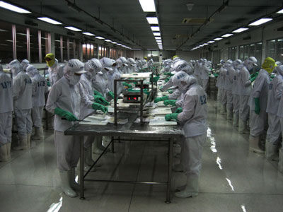 Chế biến thủy sản xuất khẩu. 