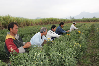 Nỗ lực vượt lên hoàn cảnh