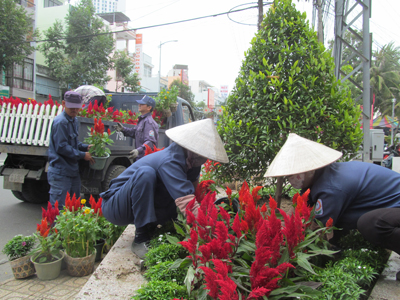 Cho phố vào xuân