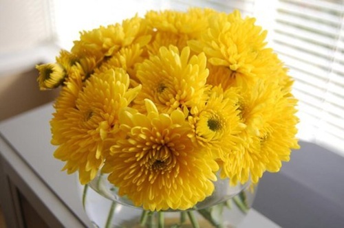 5 loại hoa ý nghĩa bạn nên bày trong dịp Tết - Báo Khánh Hòa điện tử