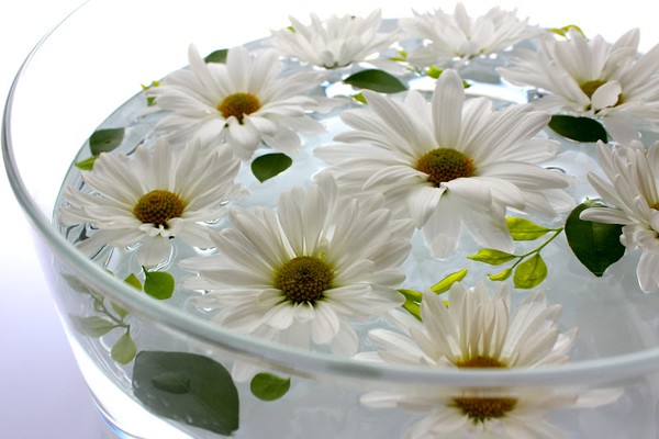 Hoa cúc trắng thả bát cũng là ý tưởng trang trí nhà ngày Tết thú vị.