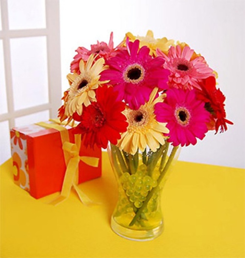 Tiền vào như nước với bó hoa đồng tiền tươi thắm.