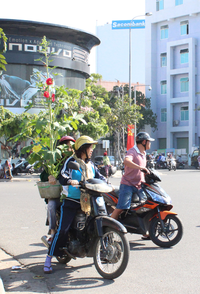 Chở hoa về nhà