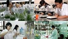 Phấn đấu đến năm 2025 có hơn 20 doanh nghiệp khoa học công nghệ