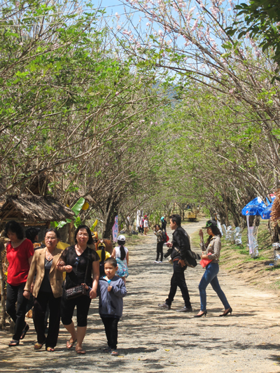 Du khách tham quan KDL Waterland Suối Thạch Lâm sáng mùng 2 Tết.