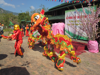 Rộn ràng khai hội hoa anh đào.